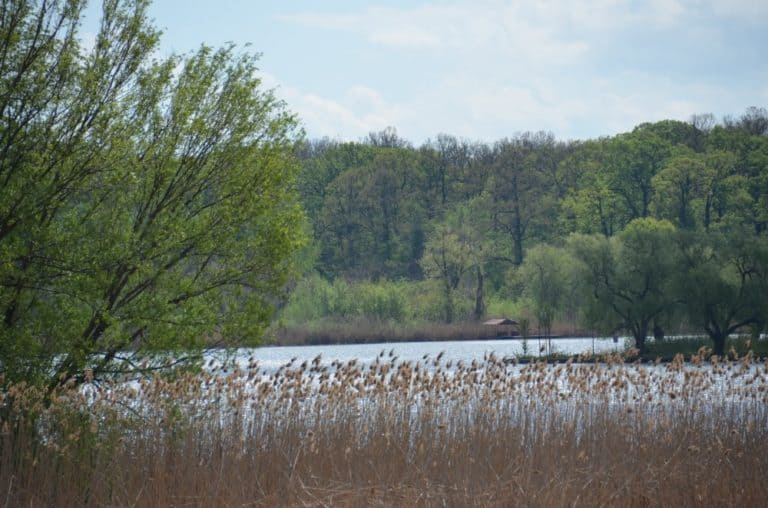 Romania, Snagov – vista, apr. 2014 (Bucarest)