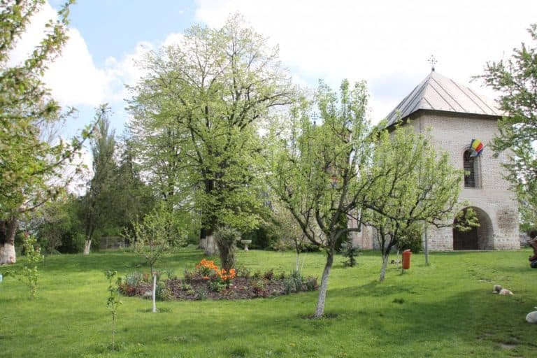 Romania, Snagov – giardino, apr. 2014 (Bucarest)