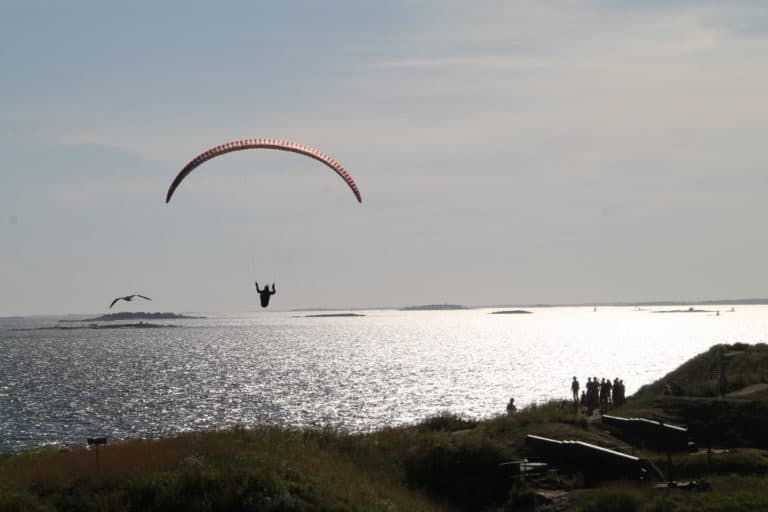 Suomenlinna – glider and bird, Aug.2015 (Helsinki)