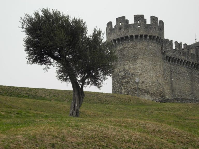 Svizzera, Bellinzona – castello, 2011
