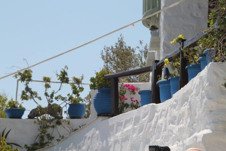 Greece, Syros, Ano Syros – blue pots, Sept.2013 (Syros)