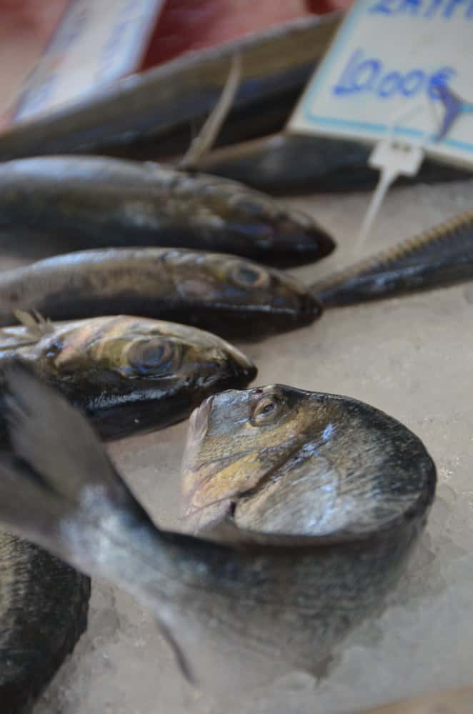 Grecia, Syros, Ermopoli – pesce, settembre 2013 (Syros)