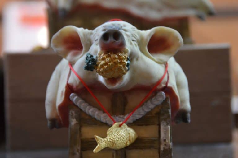 Taiwan, Yingge – pig, Dec. 2012