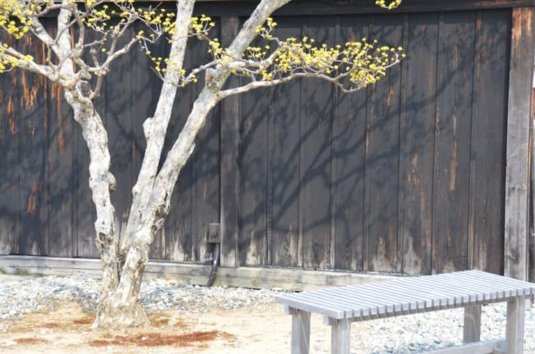 Takayama Jinya – panchina ed albero, Mar.2016 (Gifu)