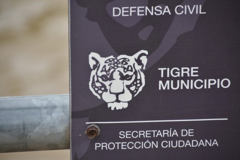 Tigre – symbol of the town, Mar.2018 (Buenos Aires)