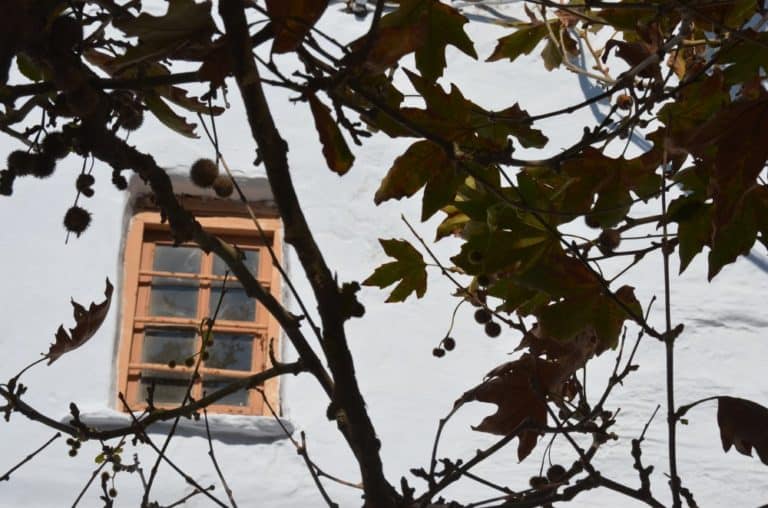 Grecia, Tinos – finestra dietro l’albero, settembre 2013