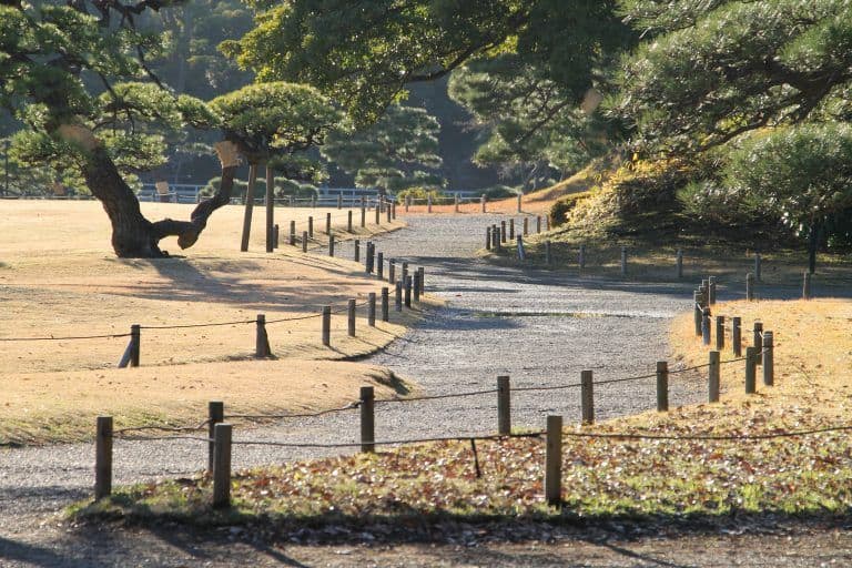 東京、浜離宮－道 2017年12月 (東京)