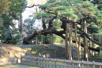 東京、浅草－川の対岸 2017年12月