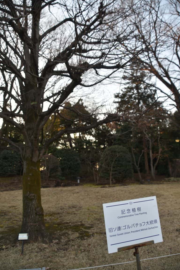 Tokyo (18) (東京)