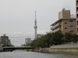 Japan, Tokyo – heron, Aug.2014