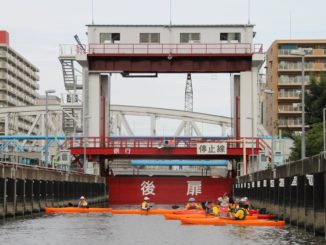 Japan, Tokyo – heron, Aug.2014