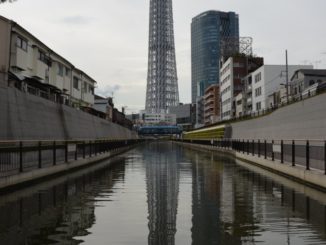 Japan, Tokyo – heron, Aug.2014