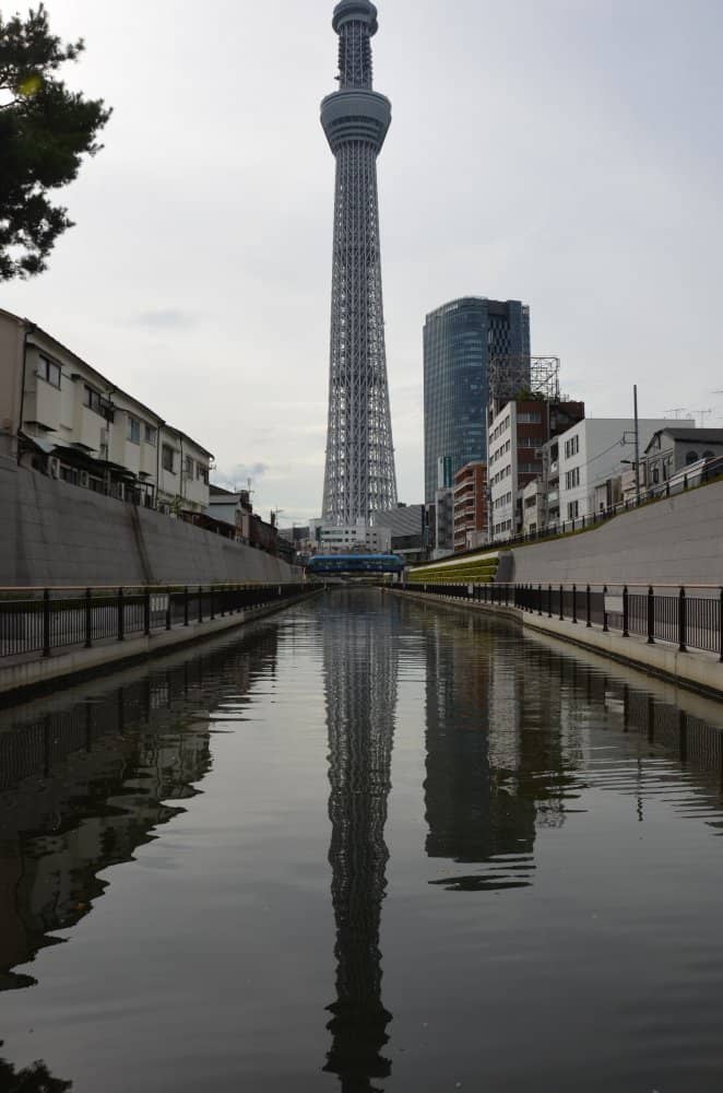 日本、東京－対称 2014年8月 (東京)