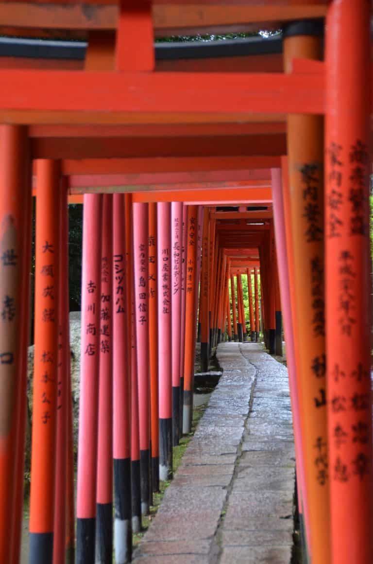 東京－根津神社、赤い鳥居 2016年8月 (東京)