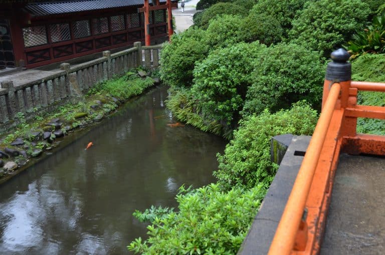 東京－根津神社、池 2016年8月 (東京)