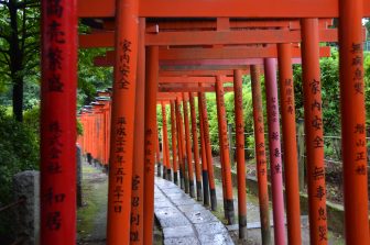 Tokyo – Ueno, sparrows, Aug.2016