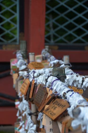 Tokyo – Ueno, sparrows, Aug.2016