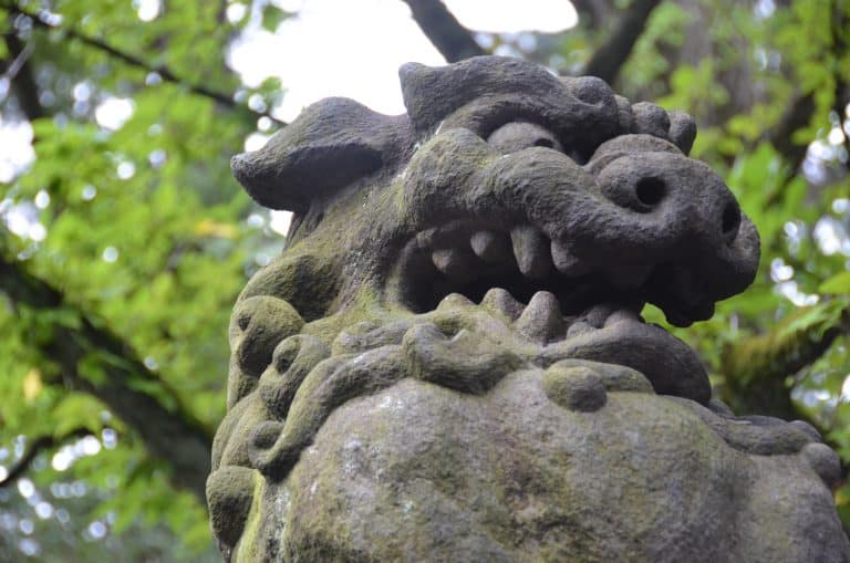 東京－根津神社、狛犬 2016年8月 (東京)