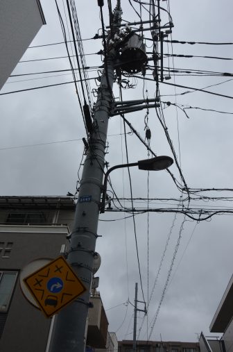 Tokyo – Ueno, sparrows, Aug.2016