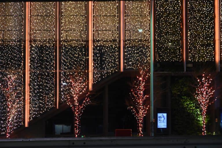 Tokyo (32) (東京)
