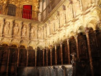 Spagna, Toledo, cattedrale – colonne, mar. 2014