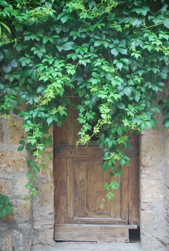  (Lazio)