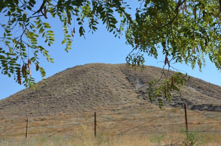 The tomb of the king with donkey ears