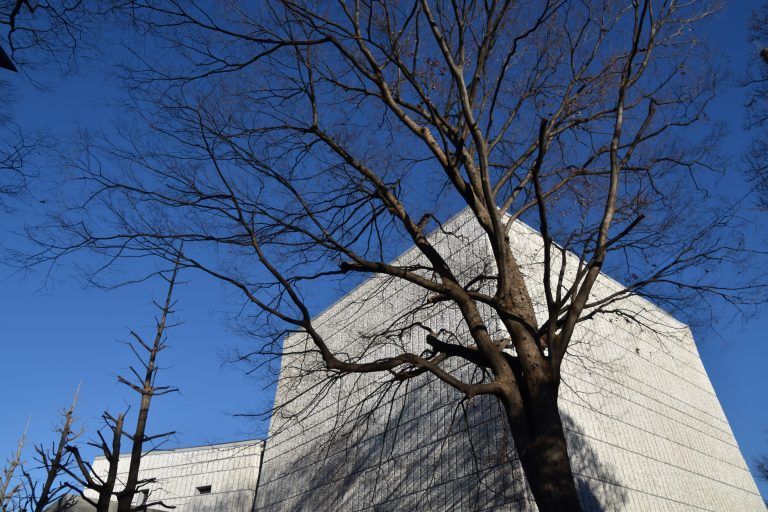 東京、上野－木と博物館 2018年1月 (東京)