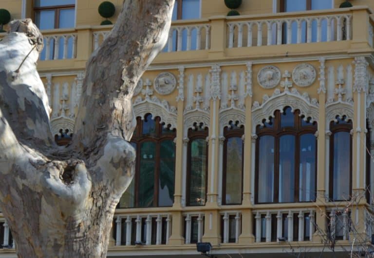 città – albero e finestre, Feb.2016 (Valencia)