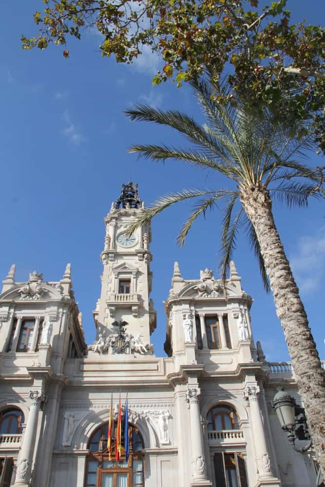 town – city hall and tree, Feb.2016