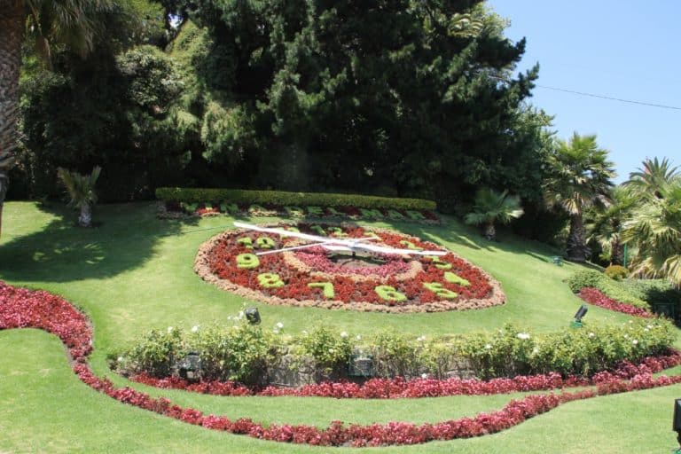 Vina del Mar – orologio di fiori, Dic.2015 (Valparaiso)