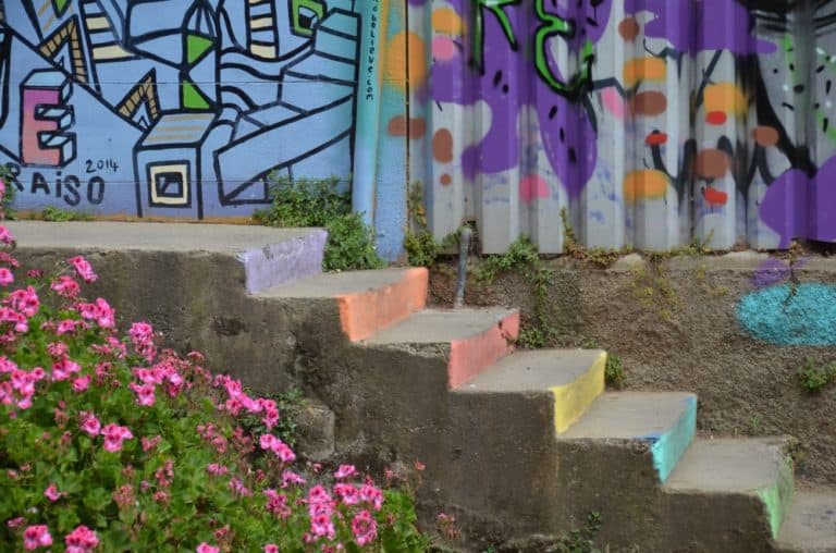 Concepcion – fiori e scale, Dic.2015 (Valparaiso)