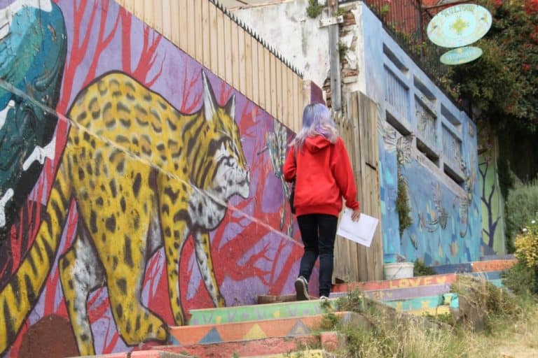 Concepcion – colour of the hair, Dec.2015 (Valparaiso)