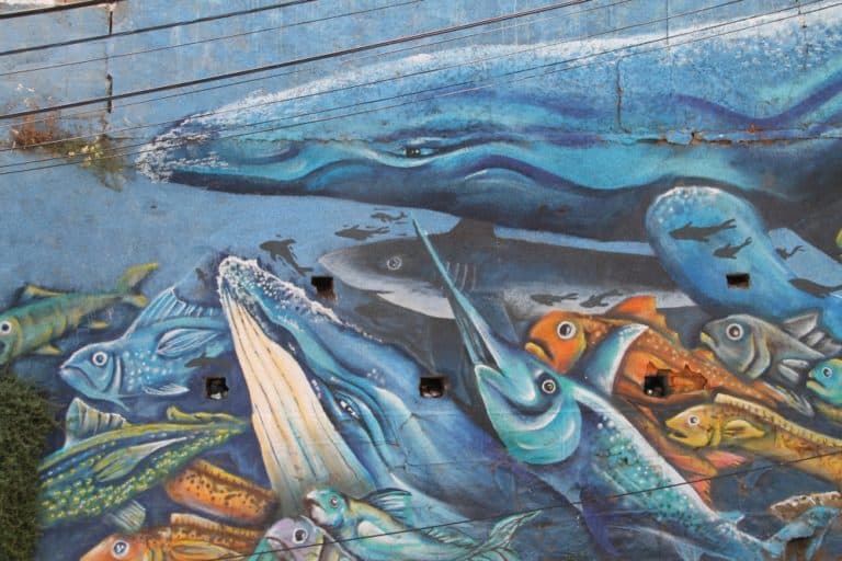 Concepcion – fish, Dec.2015 (Valparaiso)