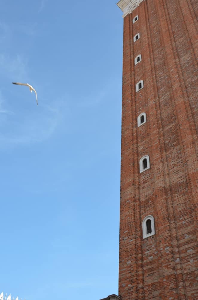 San Marco – torre e gabbiano, Ott.2015 (Venezia)