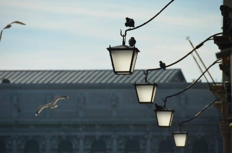San Marco – lampioni e gabbiani, Ott.2015 (Venezia)