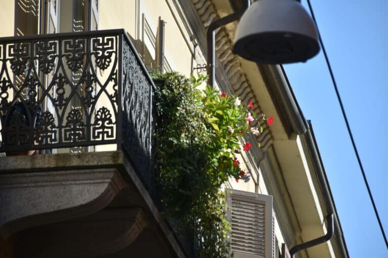 Vercelli 2021 (27) (Piemonte)