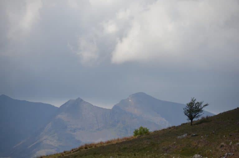 La natura in Galles