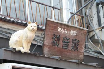 Tokyo, on the river – metal of bridge, Dec.2017