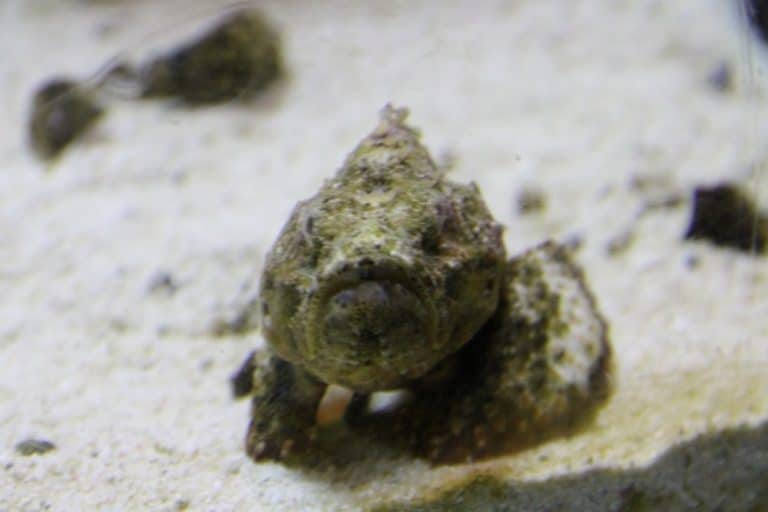 日本、横浜－水族館２ 2014年1月 (横浜)