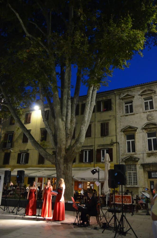 Zadar (70) (ザダル)