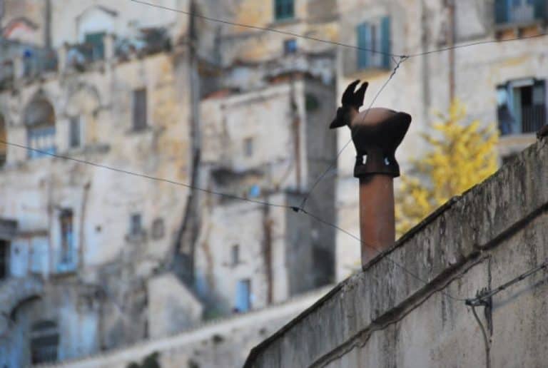 イタリア、マテーラ－ウサギ？ 2011年 (プーリア州)