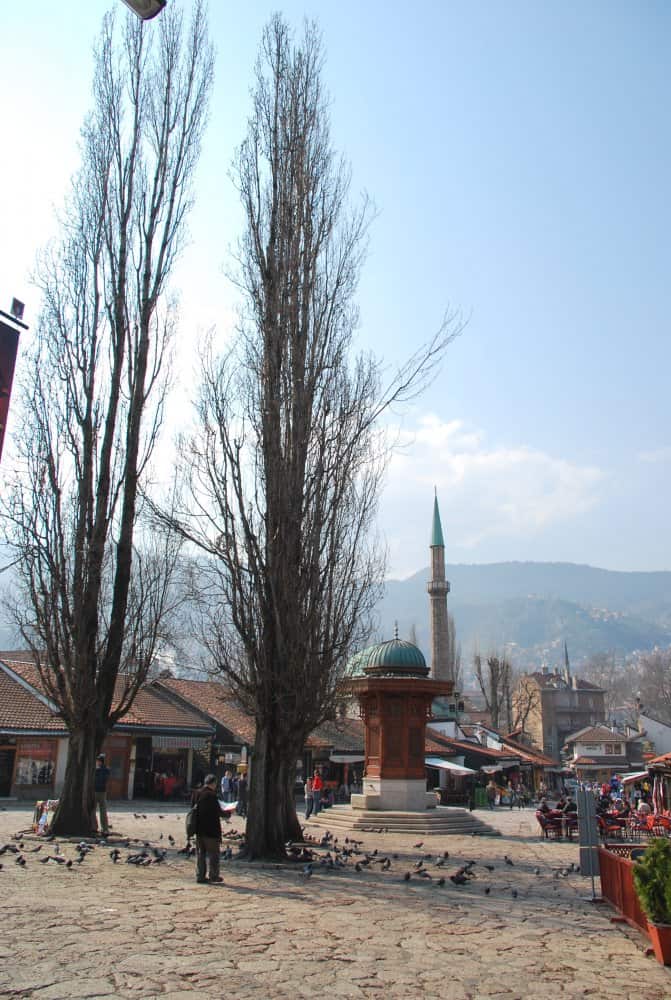 Sarajevo – two trees, April 2009 (Sarajevo)