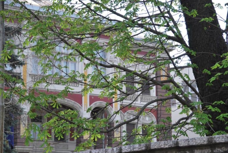 Sarajevo – young leaves, April 2009 (Sarajevo)