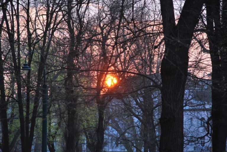 Sarajevo – evening sun, April 2009 (Sarajevo)