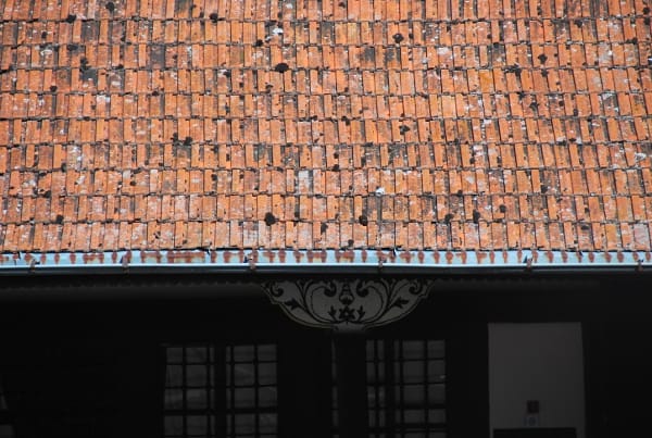 Bulgaria,Rila – roof, 2011