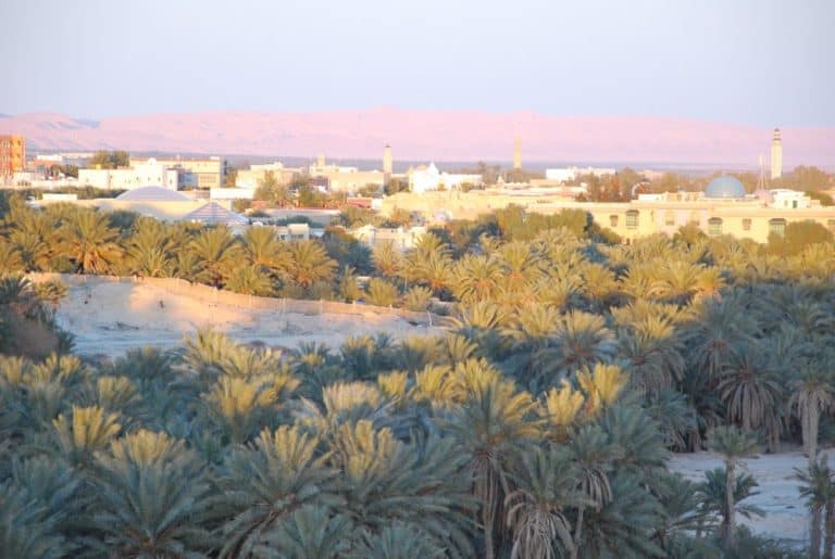 Tunisia, Tozeur – view, Dec.2008 (Tozeur)