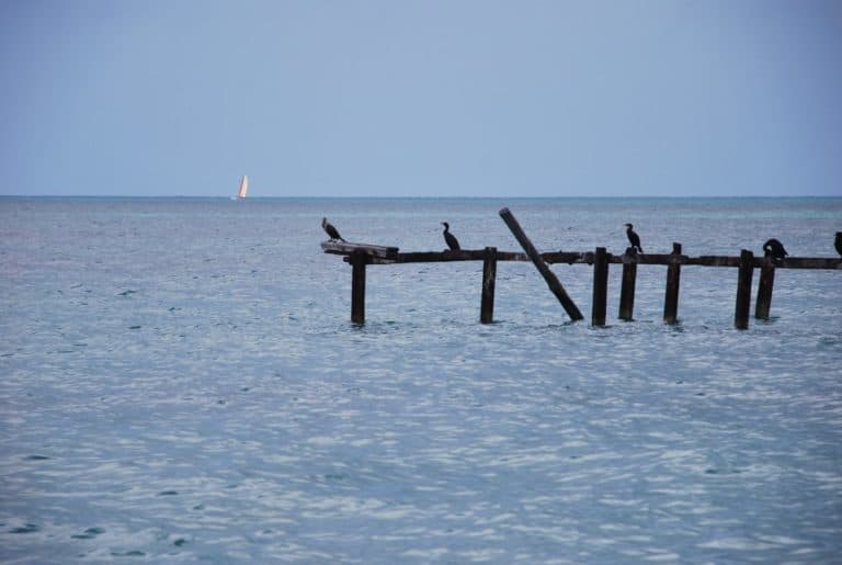 Cuba, Playa Ancon – horizon, spring 2010