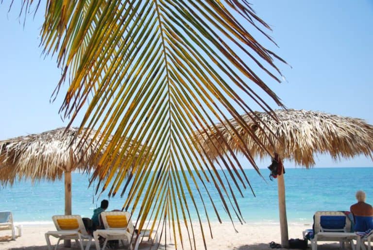 Cuba, Playa Ancon – leaf and parasols, spring 2010