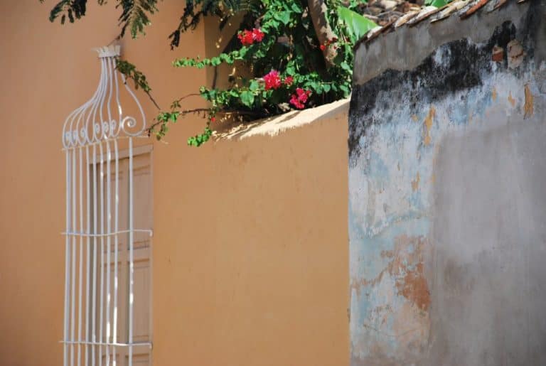 Cuba, Trinidad – ringhiera e fiori, primavera 2010